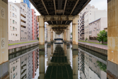 清澄白河への道⑩