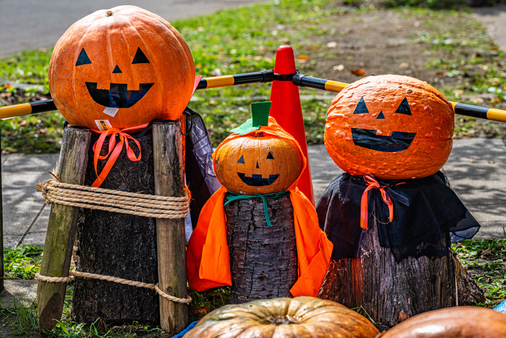 ハロウィンファミリー＾＾￥