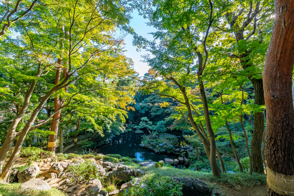殿ヶ谷戸庭園①