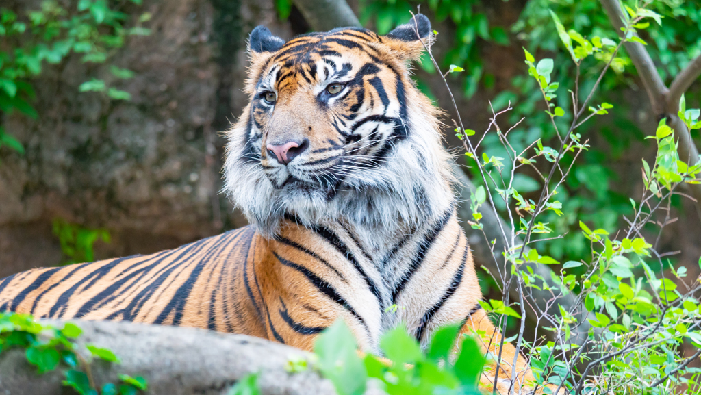 上野動物園⑤