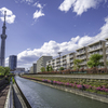 つつじと東京スカイツリー＾＾￥