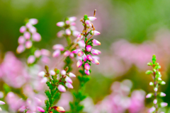 台風の直撃の前のマクロ③