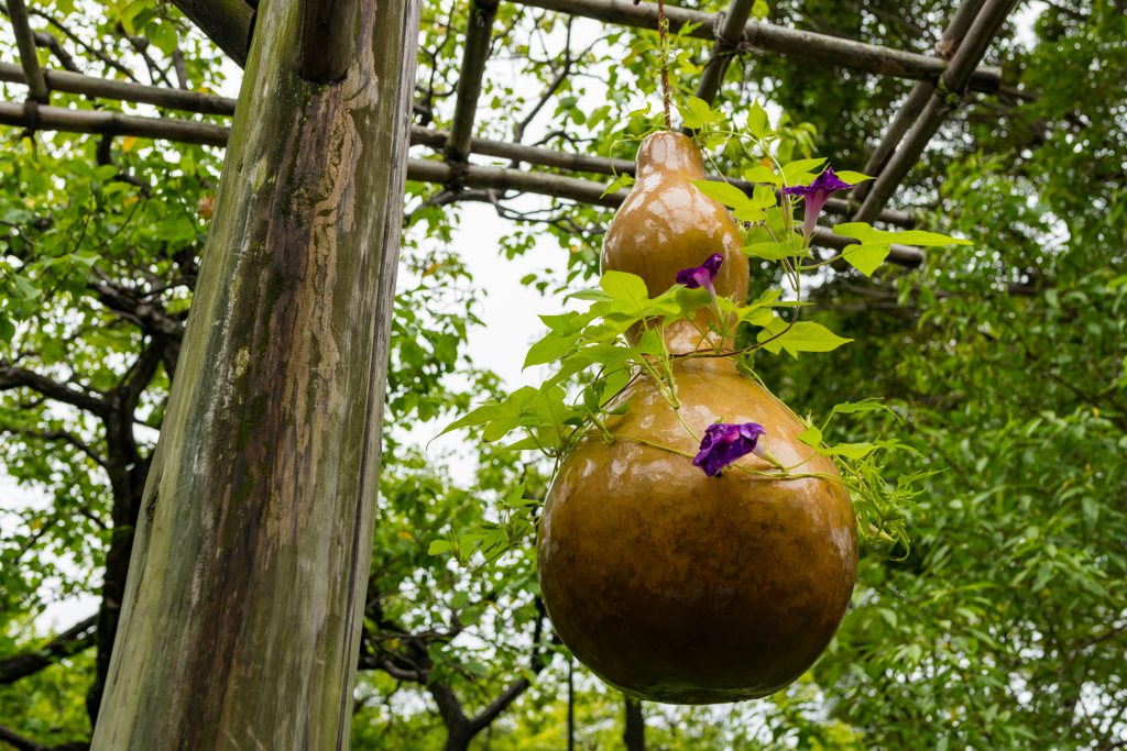 向島百花園①