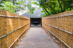 東京港野鳥公園③