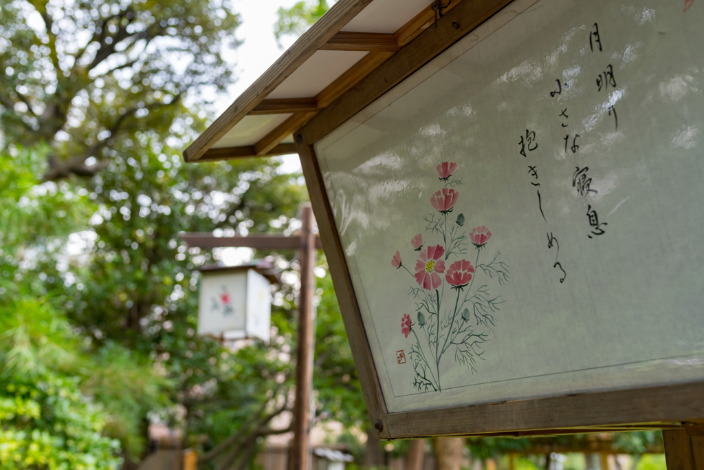 初秋の向島百花園⑥