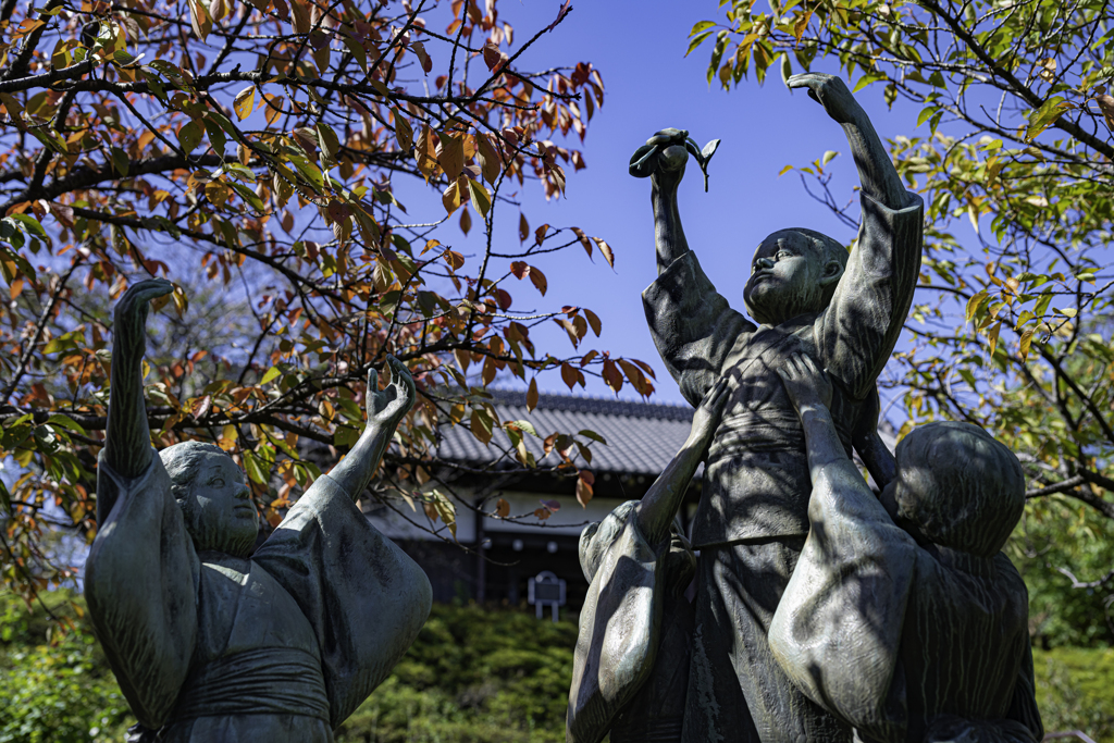 紅葉狩りっぽく見えました＾＾￥