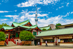 晴れ上がった亀戸天神１