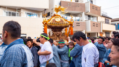 単焦点レンズを購入したので試し撮り④