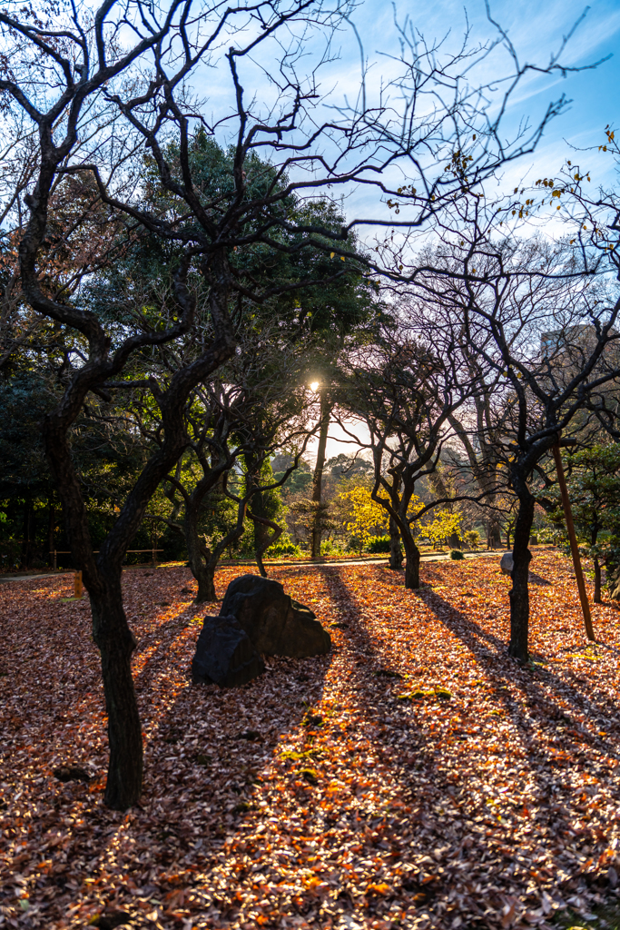 小石川後楽園 ③