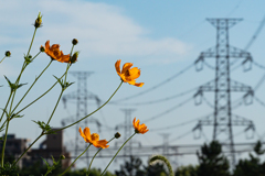 夏の日の午後・・・＾＾￥