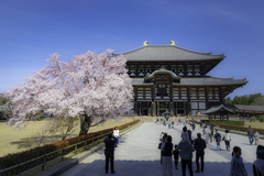 春の奈良紀行！東大寺＾＾￥