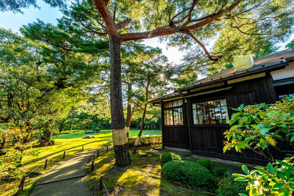 殿ヶ谷戸庭園③
