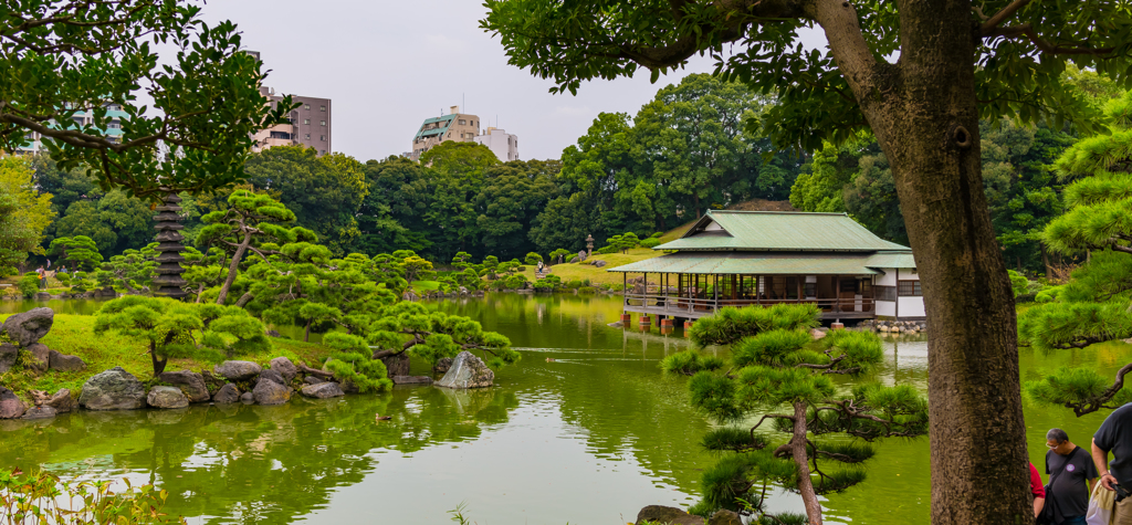 清澄庭園③