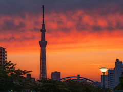 夕暮れオレンジ！スカイツリー②