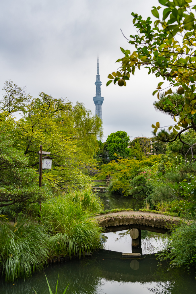 向島百花園④