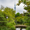 向島百花園④