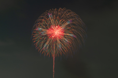 初花火撮影③