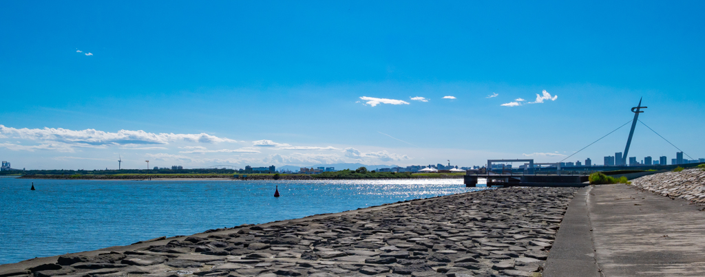 秋空のような爽快な空　葛西臨海公園撮影散歩⑥
