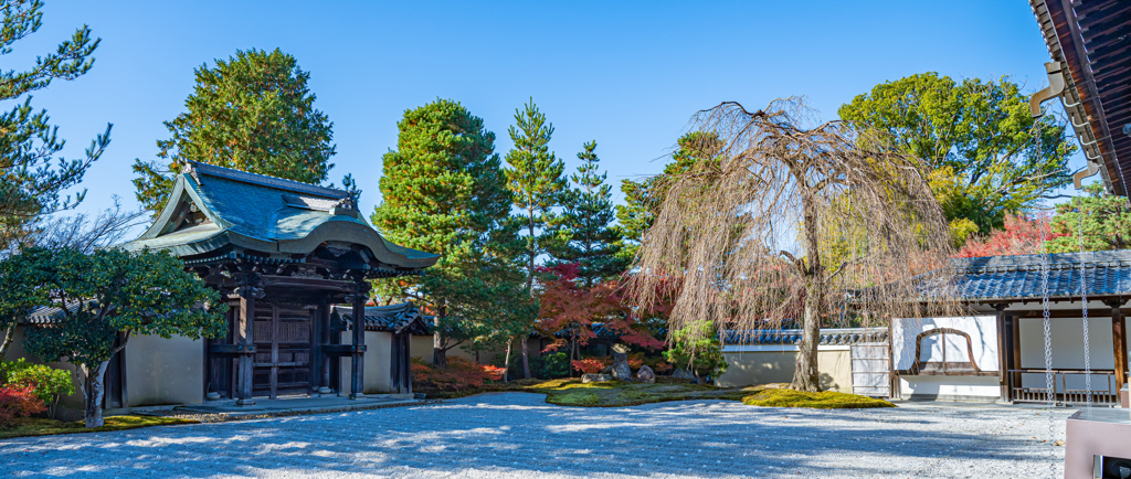 高台寺　波心庭　