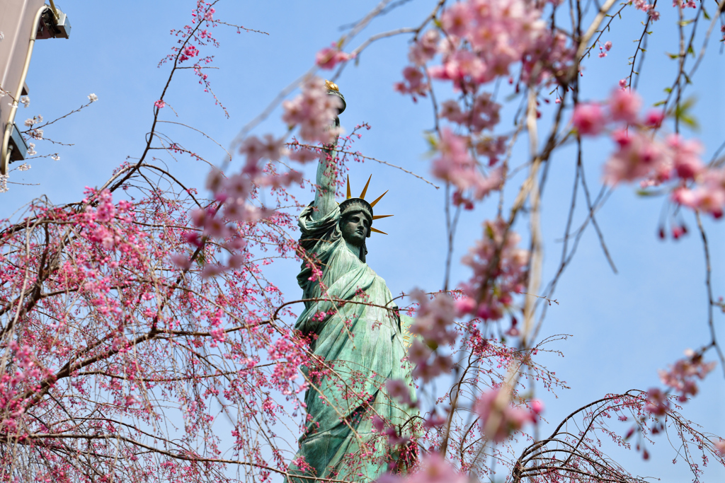 お台場の自由の女神と桜 By 京子たん Id 写真共有サイト Photohito