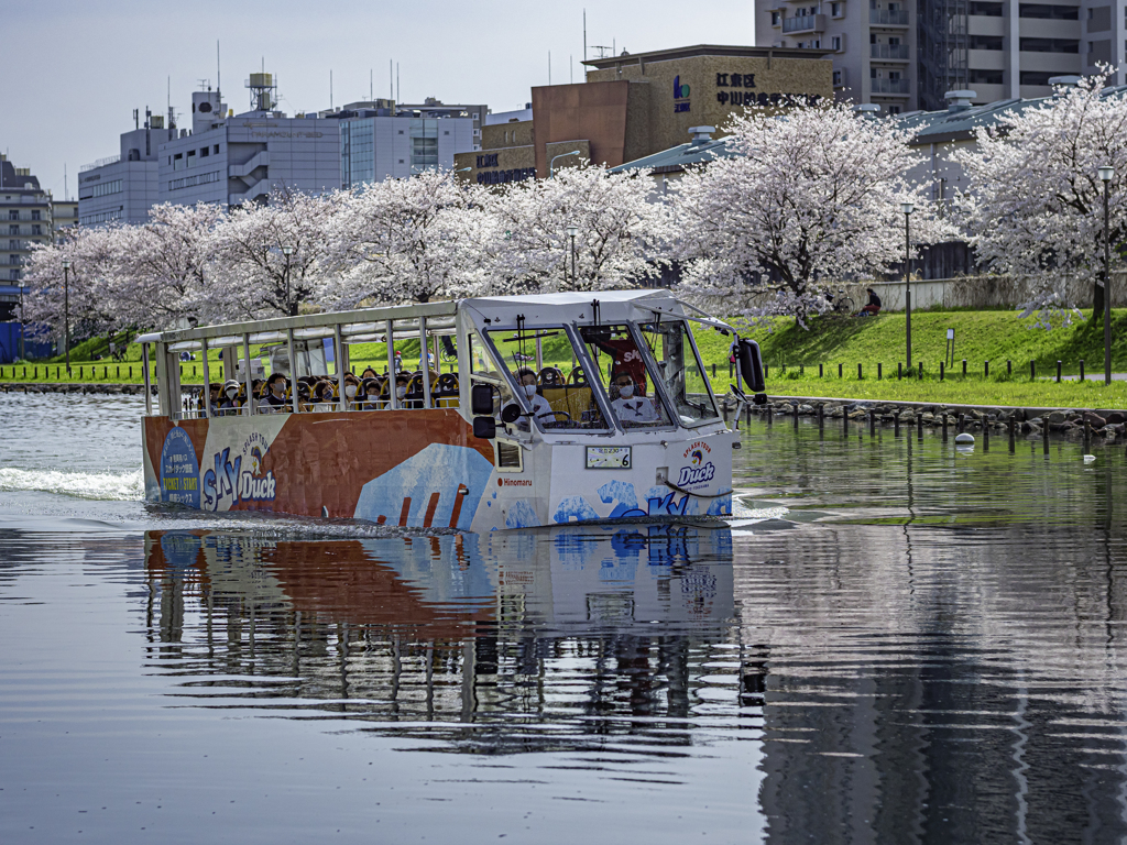 桜河と水上バス＾＾￥