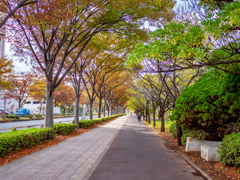 日常の風景①