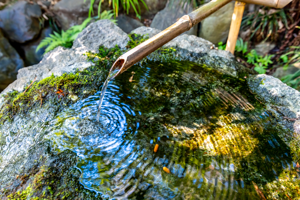 殿ヶ谷戸庭園②