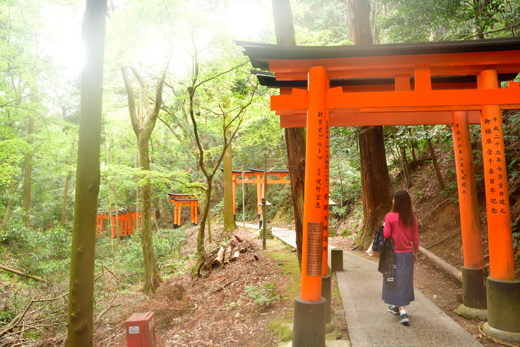 伏見稲荷大社　奥の地