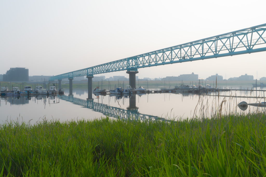 早朝の江戸川の、これは橋？何かの管？