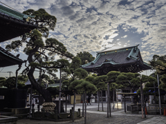 柴又帝釈天に到着＾＾￥