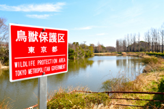 水元公園で初めて広角レンズでいろいろなものを撮影したときの写真です　３