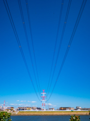秋空のような爽快な空　葛西臨海公園撮影散歩②