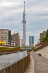 どんより曇り空の早朝撮影散歩②