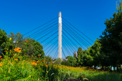 台風が過ぎ去った後の晴天①