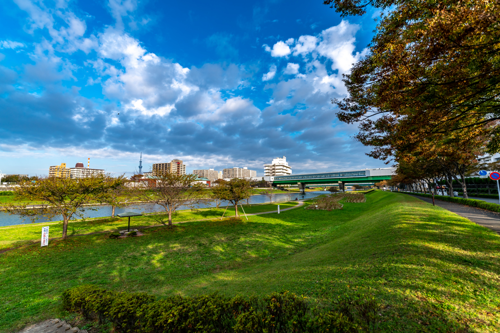 とある朝の風景