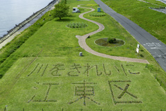 川をきれいに江東区＾＾￥
