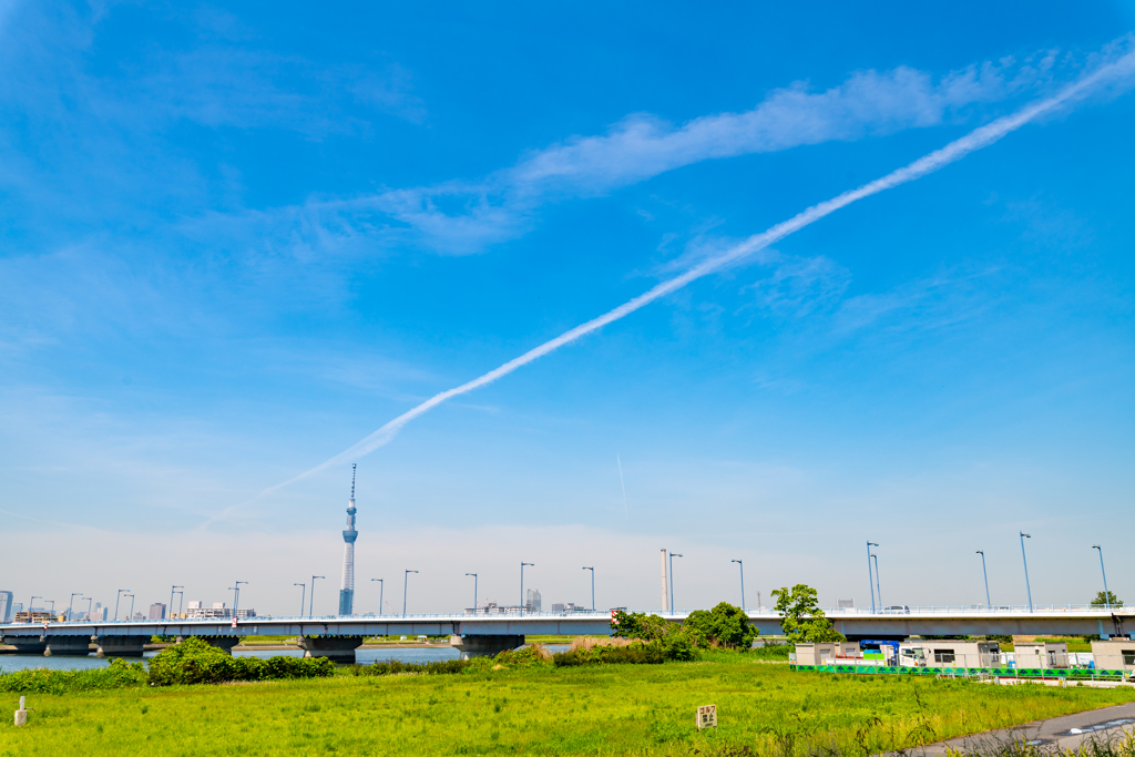 広大な青空と飛行機雲と小さなスカイツリー