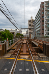 どんより曇り空の早朝撮影散歩④