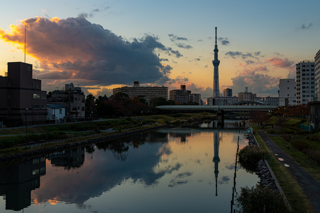 夕暮れスカイツリー＾＾￥