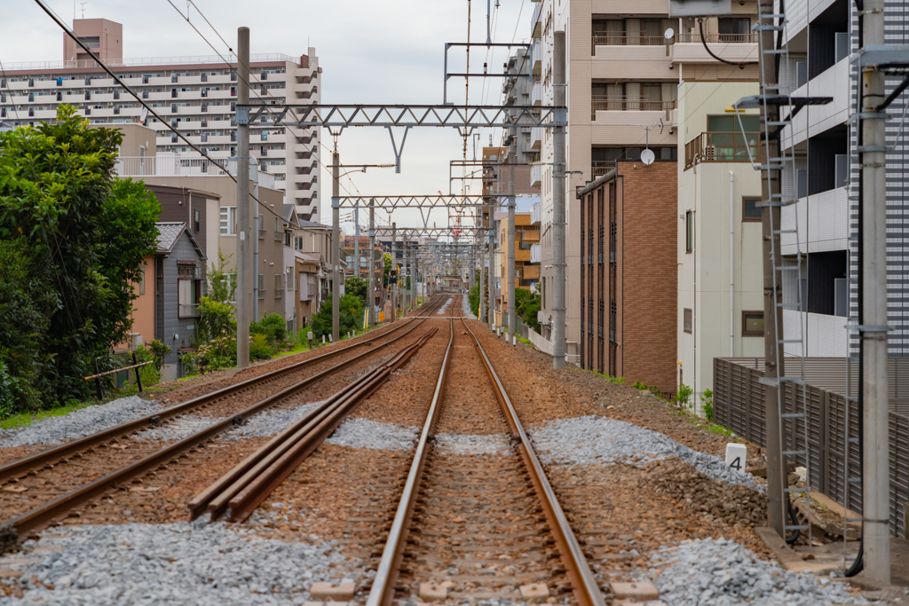 どんより曇り空の早朝撮影散歩①