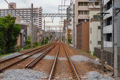 どんより曇り空の早朝撮影散歩①