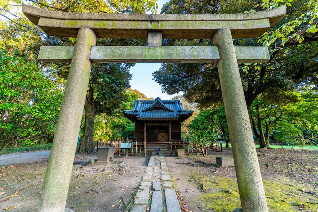 浜離宮恩賜庭園⑥