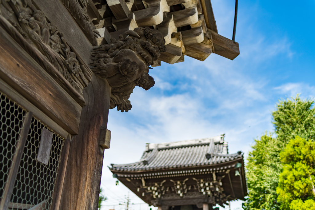 柴又帝釈天③