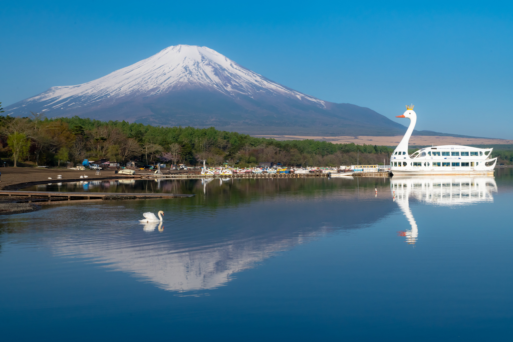 富士の山　山中湖に映る！