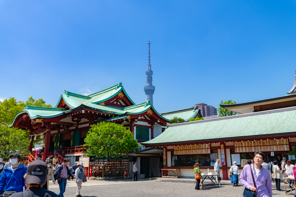 亀戸天神 藤まつり その１０