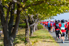 秋空と秋花と秋のスポーツと⑧