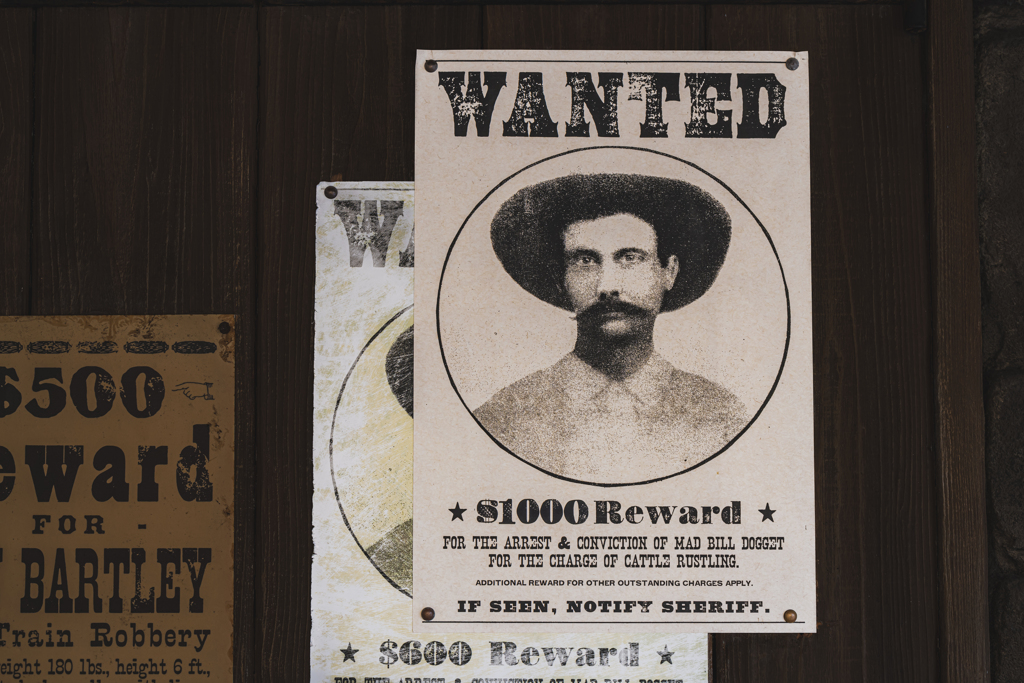 WANTED !!