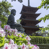 鬼子母神堂の五重塔＾＾￥