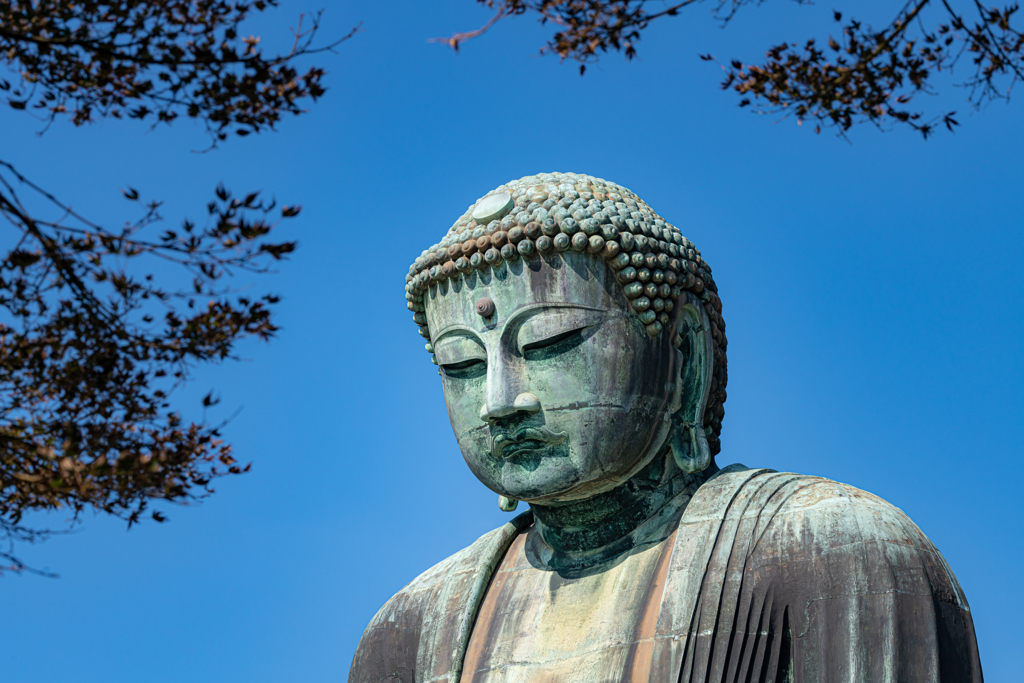 鎌倉の大仏さま　②