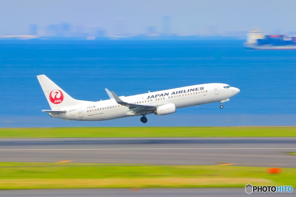 JAL  B-737